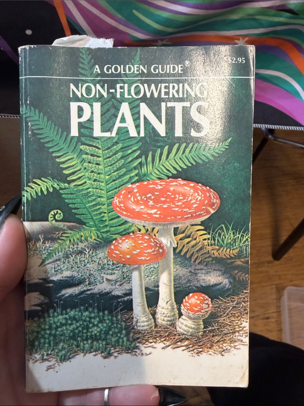 Non-Flowering Plants - Green Cover